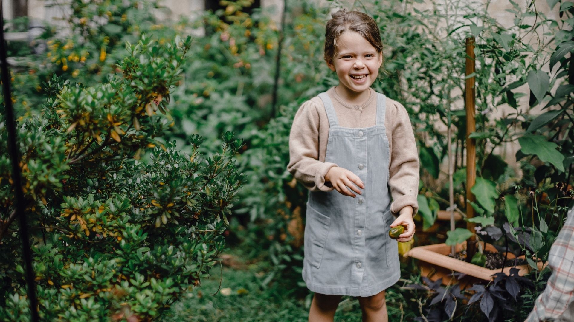 Bērnu izmitināšanas politika